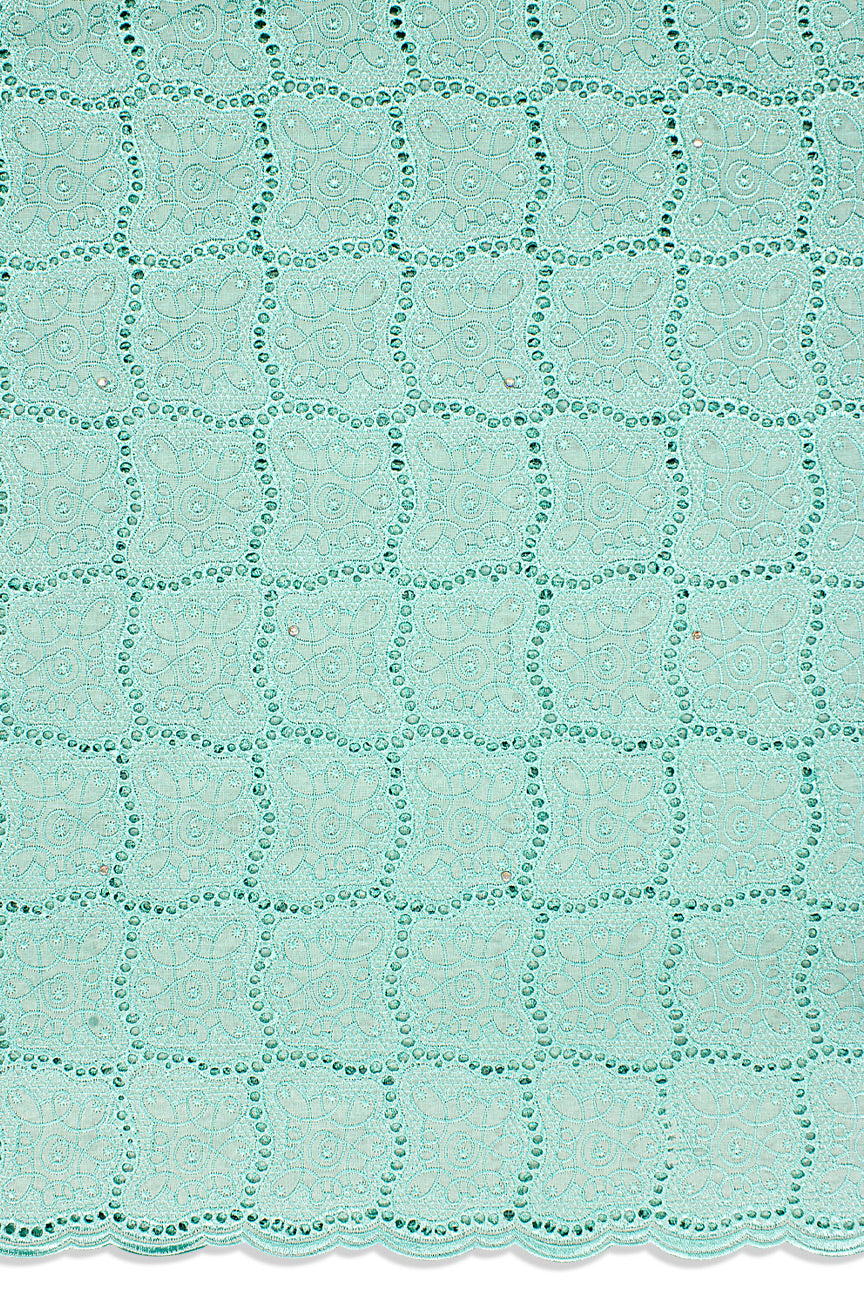 DRL017-MNT - Big Dry Lace - Mint Green