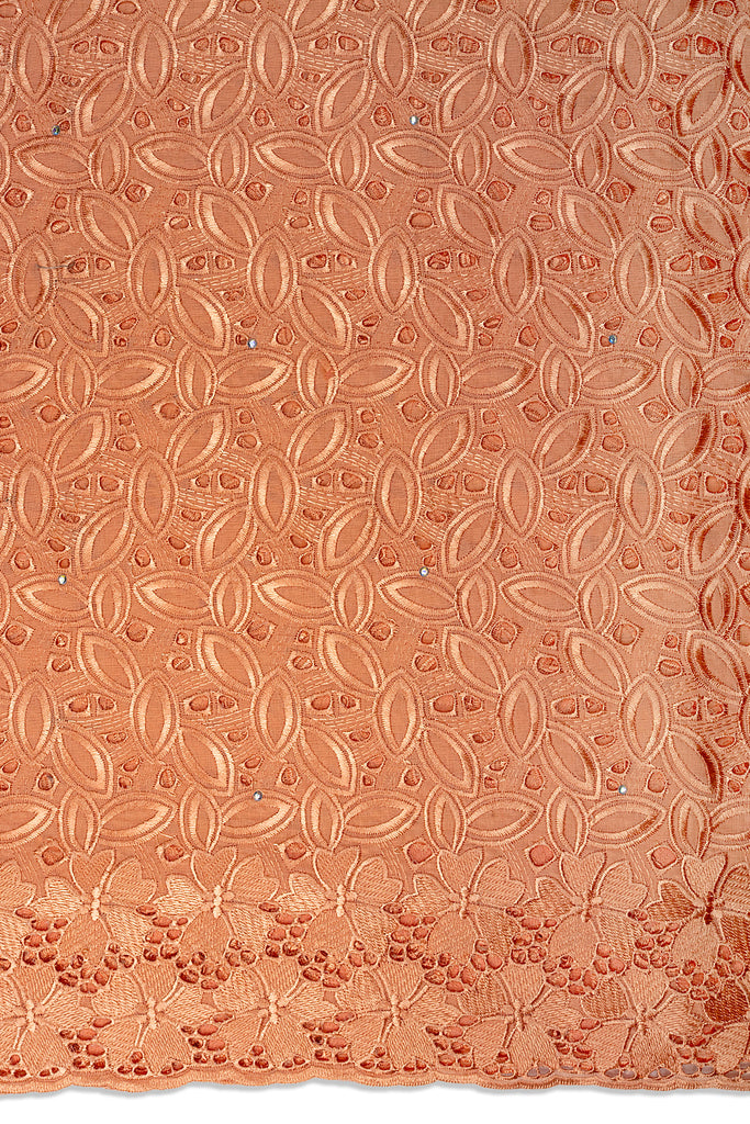 DRL024-PCH - Big Dry Lace - Peach
