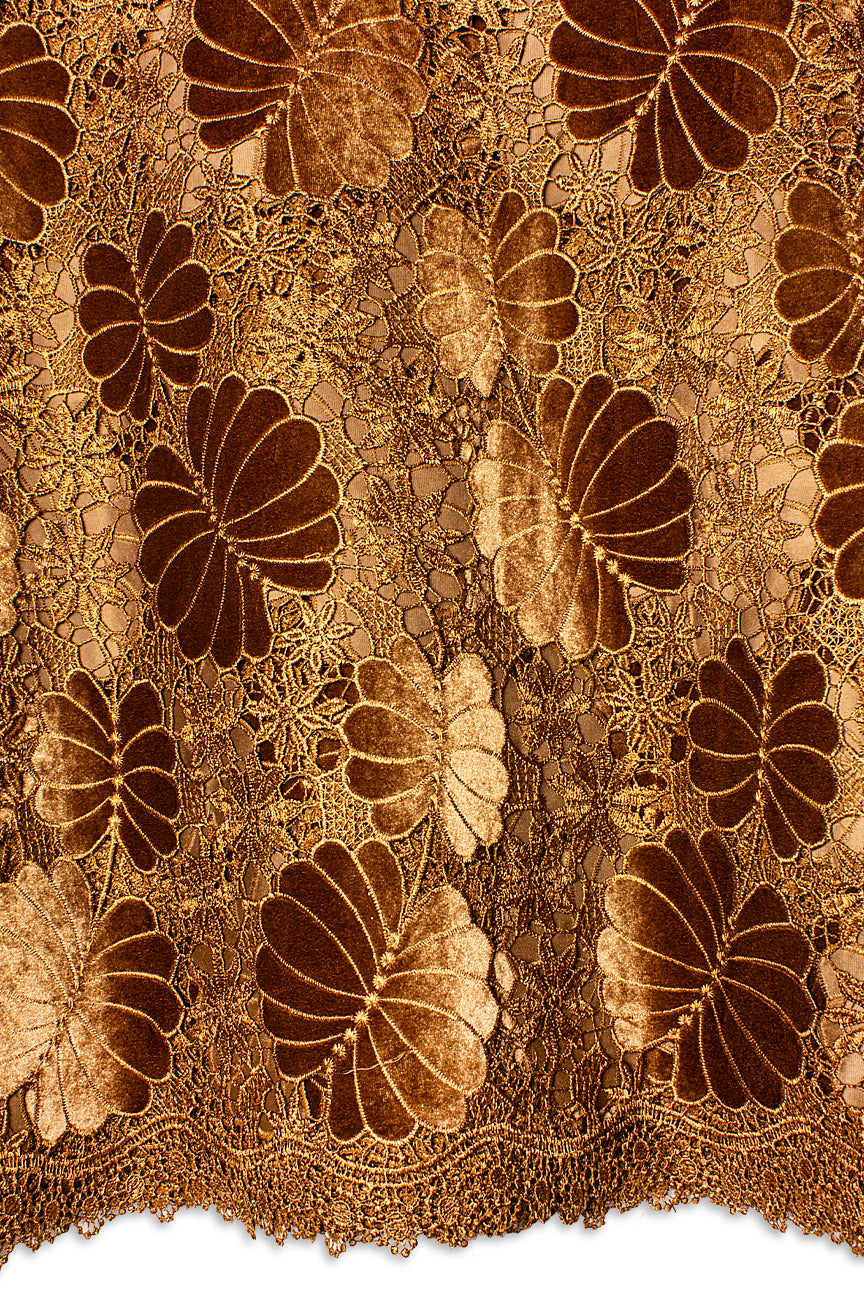 GPR103-BRW - Guipure Velvet Lace - Brown & Golden Brown
