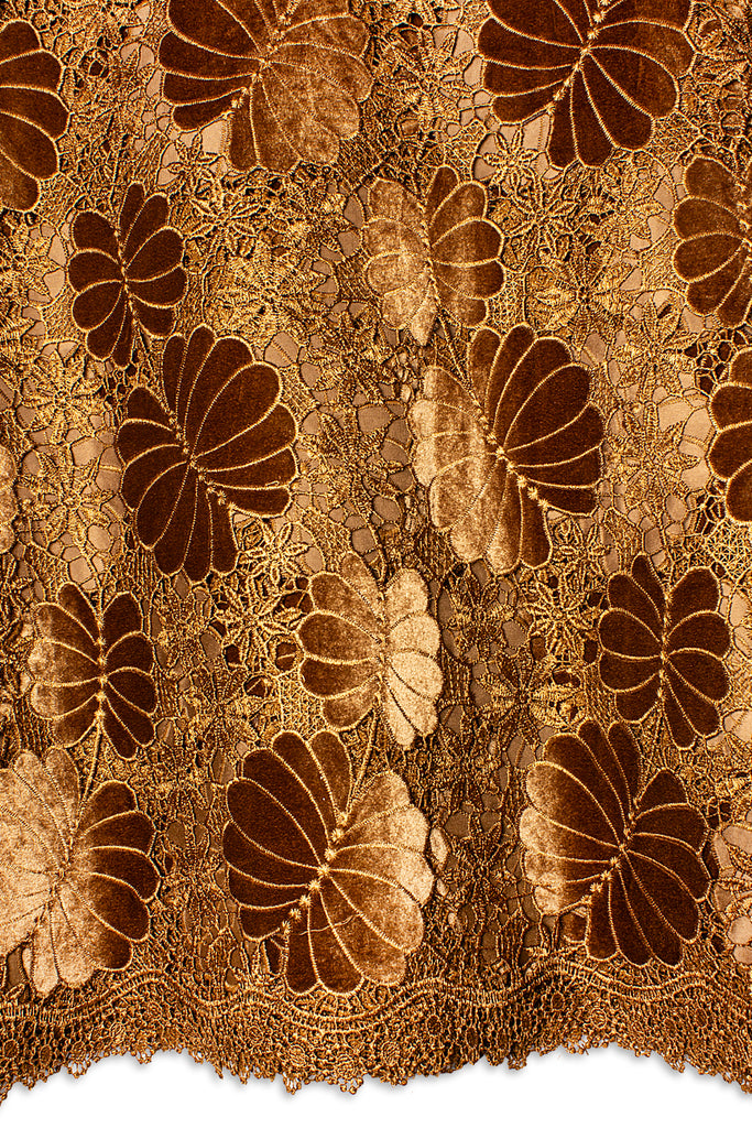 GPR103-BRW - Guipure Velvet Lace - Brown & Golden Brown
