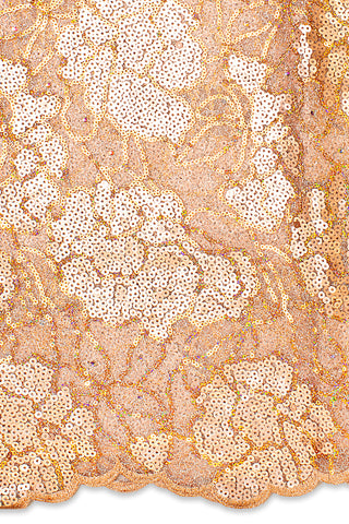 RMT212 - Big Sequined Lace (3 yards)