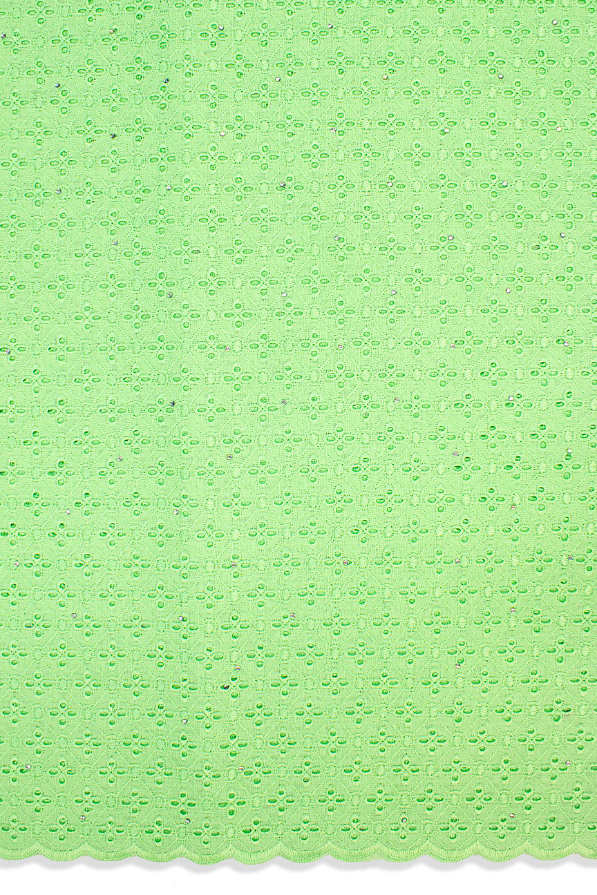 DRL005-LGN - Big Dry Lace - Light Green
