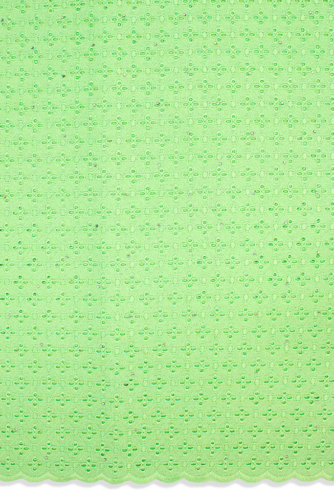 DRL005-LGN - Big Dry Lace - Light Green